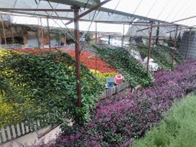 20140428_122818