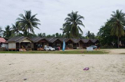 DSC03649