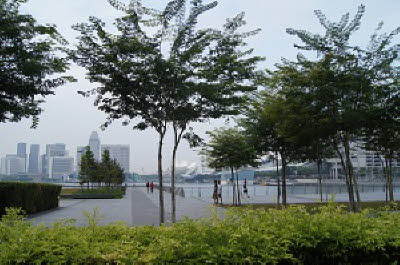 DSC04081