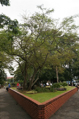DSC05247