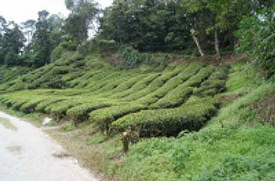 DSC05983