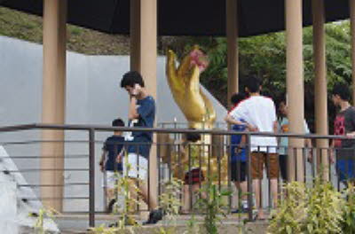 DSC07361