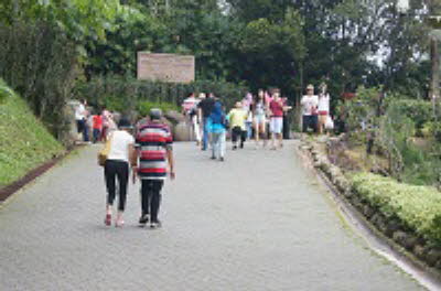 DSC07367