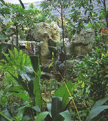 FOREST1