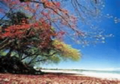 bungai%20beach%20thumbnail