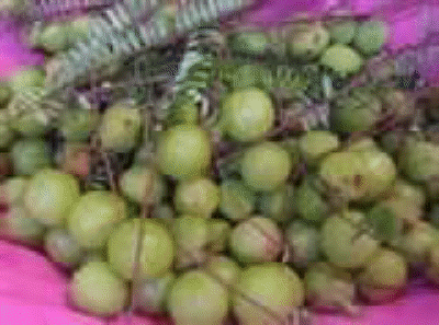 d buah melaka