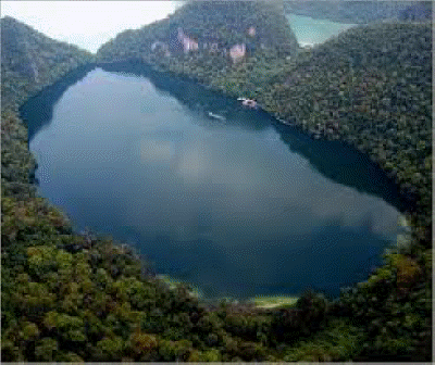 dayang bunting 1