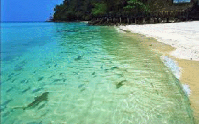 langkawi beach 2