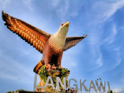 langkawieagle