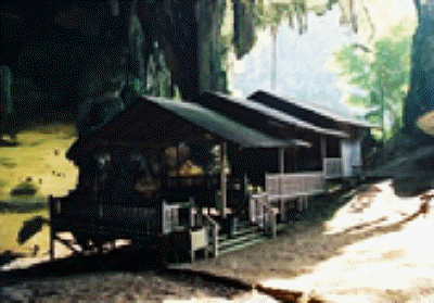 niah cave miri