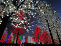 icity